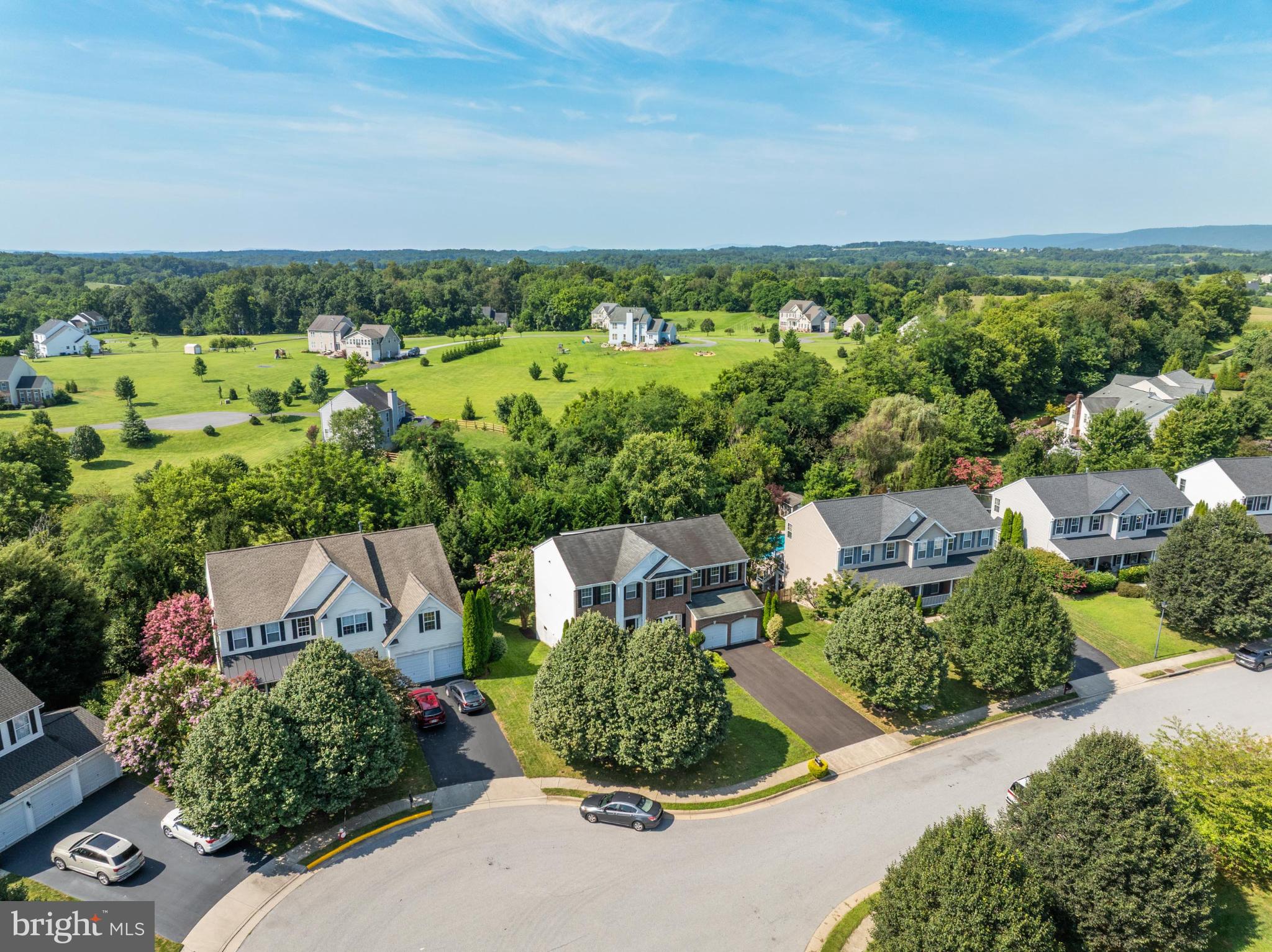 929 TOWERING OAK COURT
