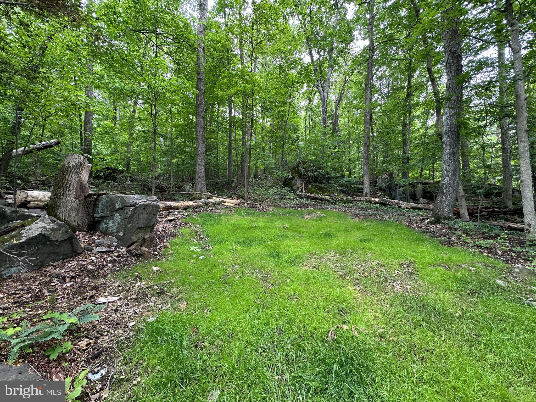2751 SWAMP CREEK ROAD