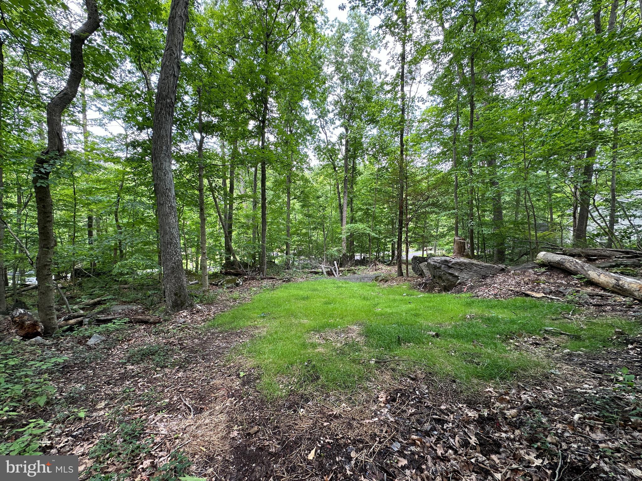 2751 SWAMP CREEK ROAD