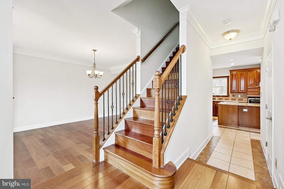 WILLOUGHBY WOODS - Residential