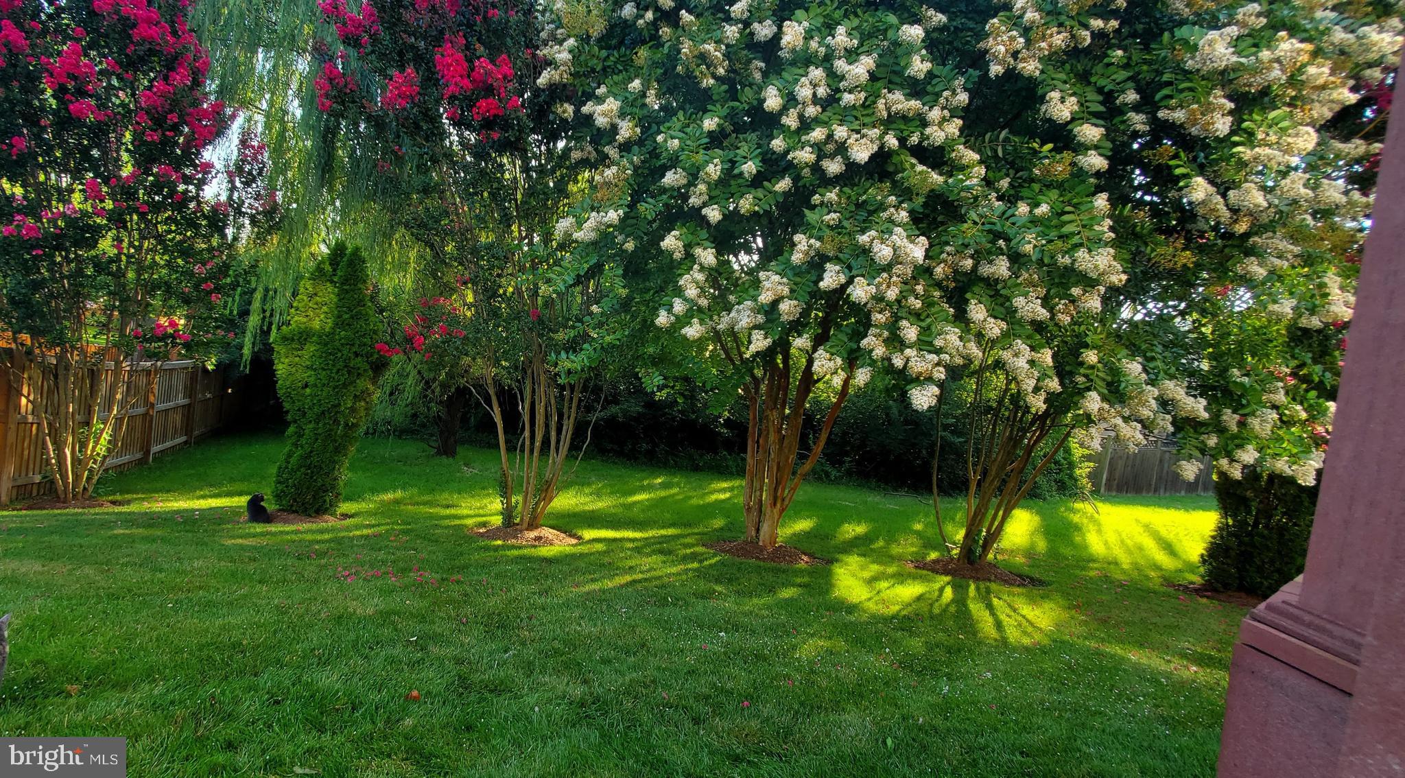 WILLOUGHBY WOODS - Residential