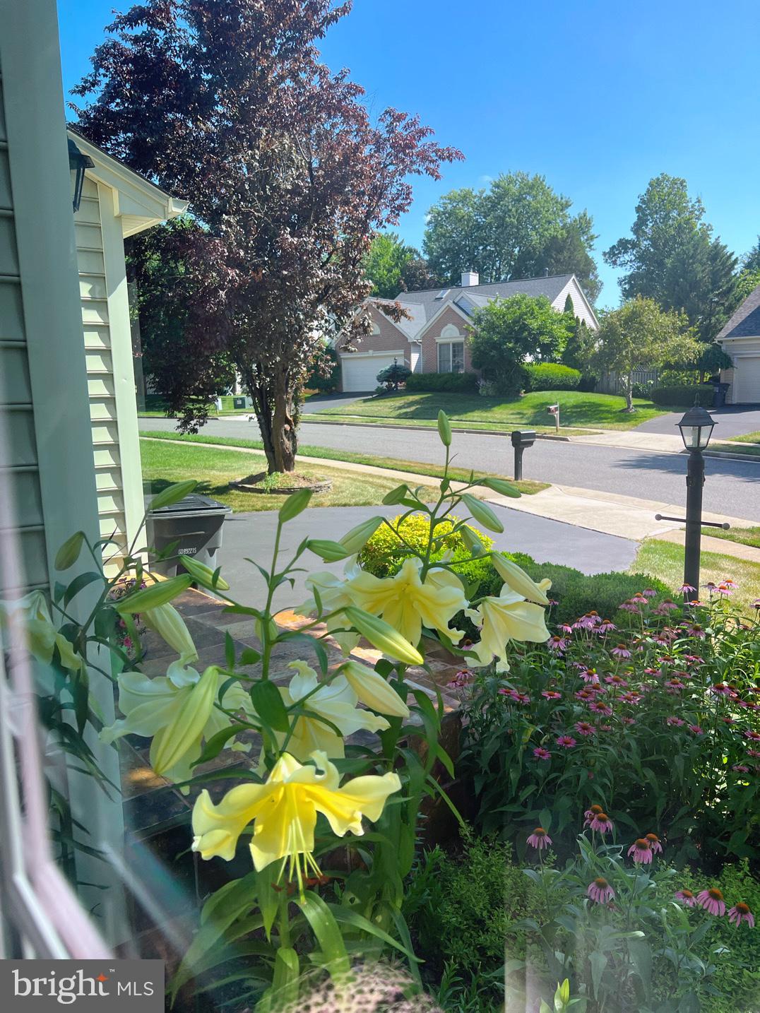 WILLOUGHBY WOODS - Residential