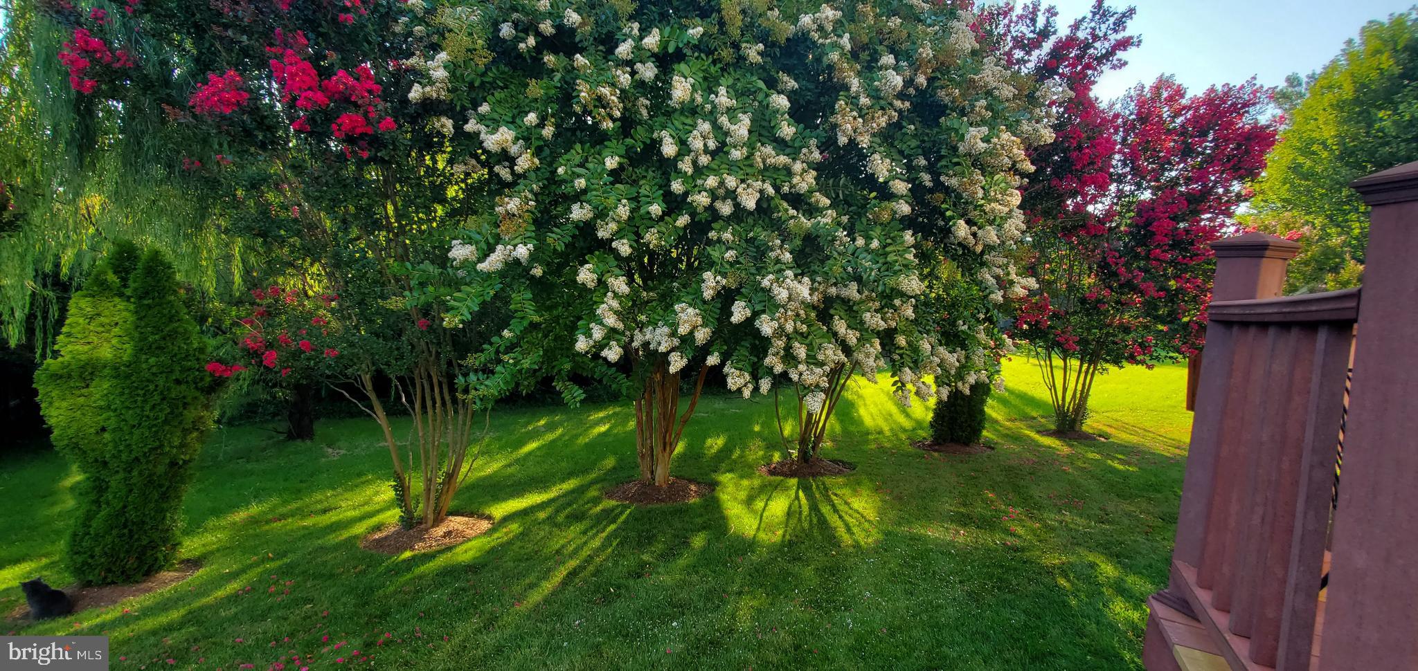 WILLOUGHBY WOODS - Residential