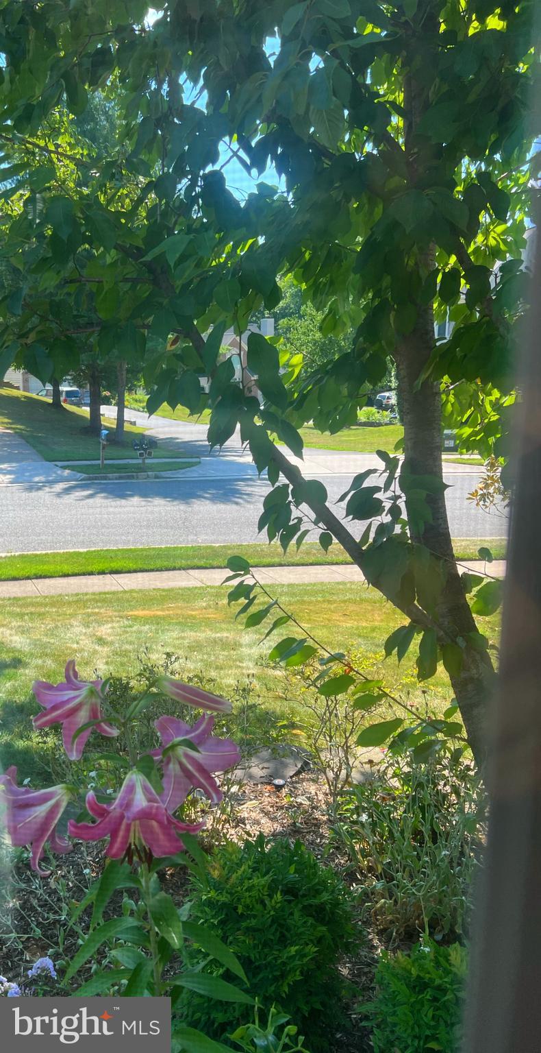 WILLOUGHBY WOODS - Residential