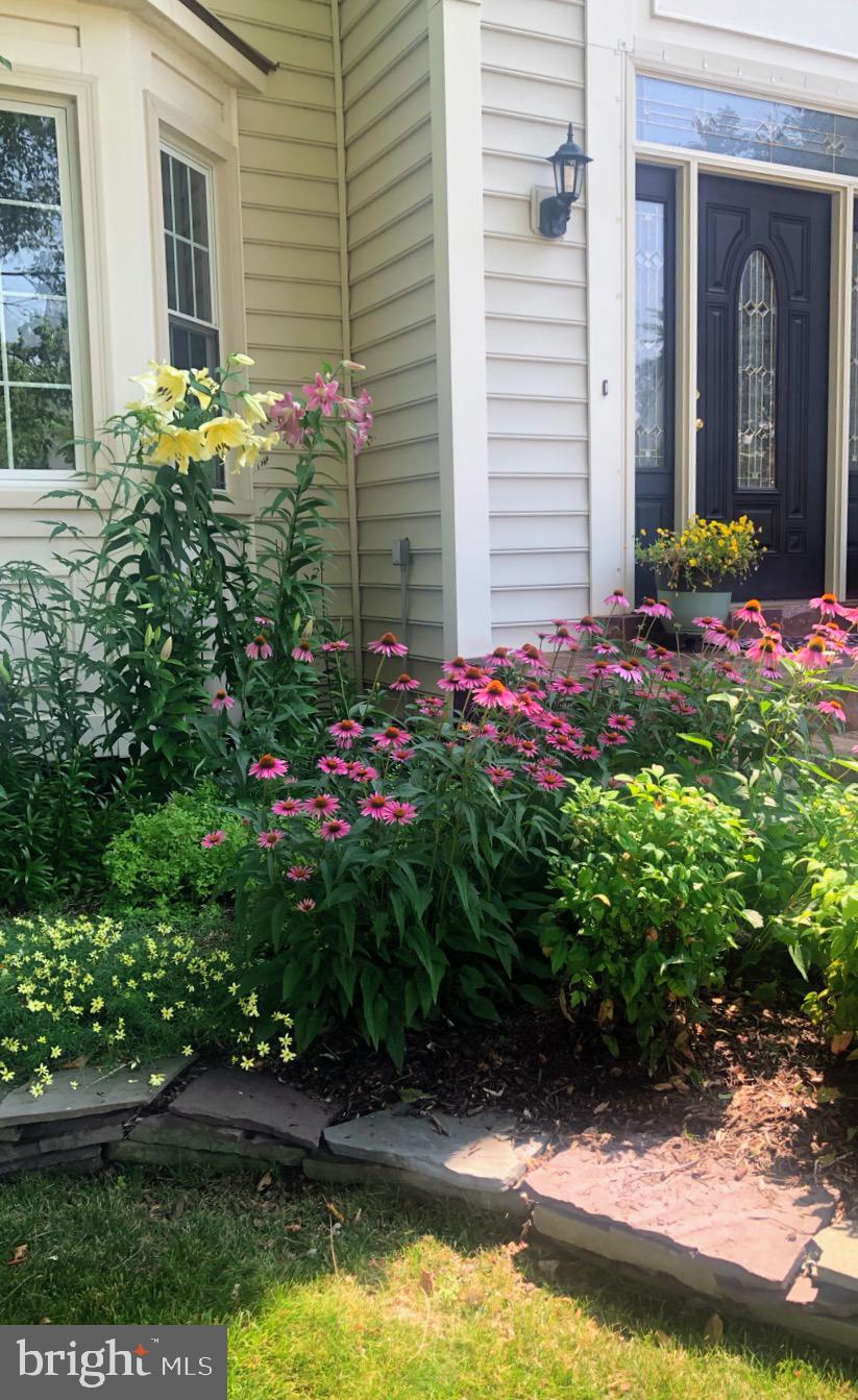 WILLOUGHBY WOODS - Residential