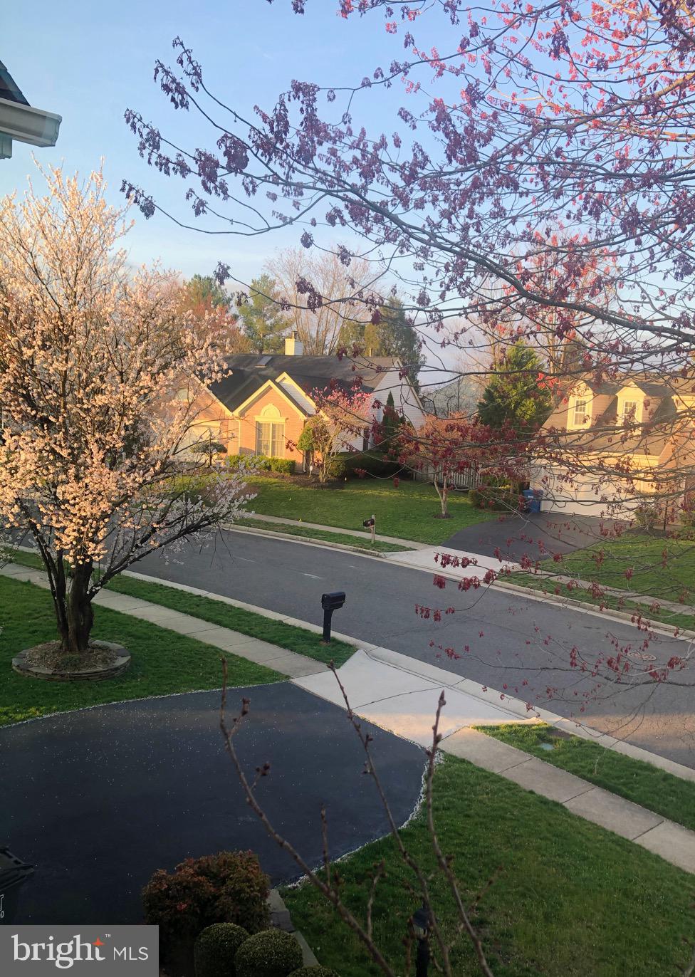 WILLOUGHBY WOODS - Residential