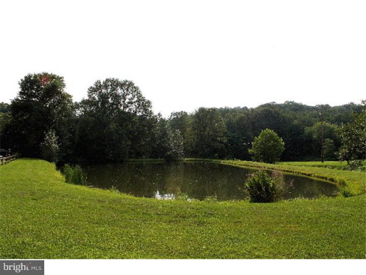 SCULPS HILL - Farm