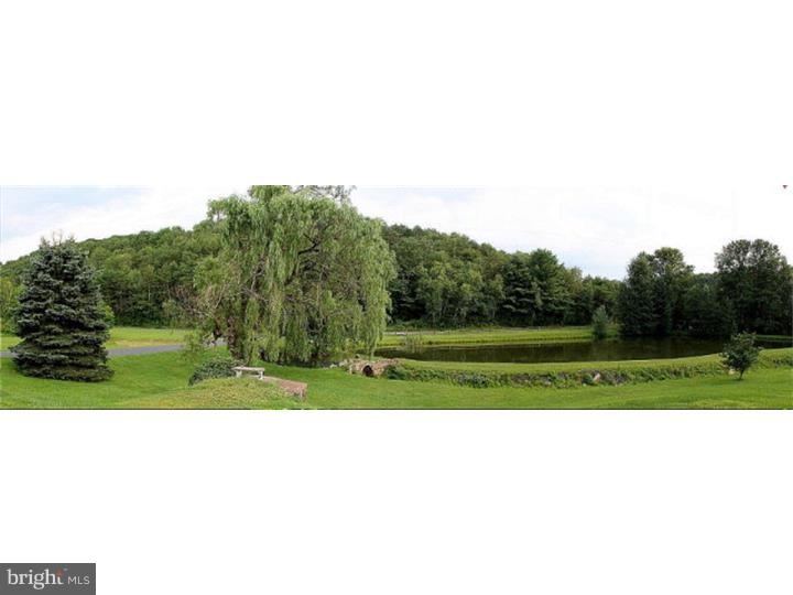 SCULPS HILL - Farm