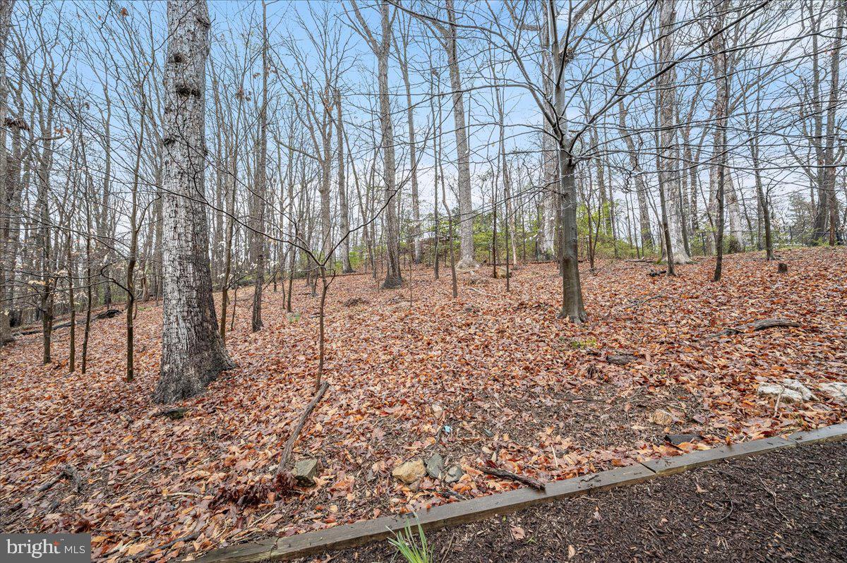 POTOMAC OUTSIDE - Residential