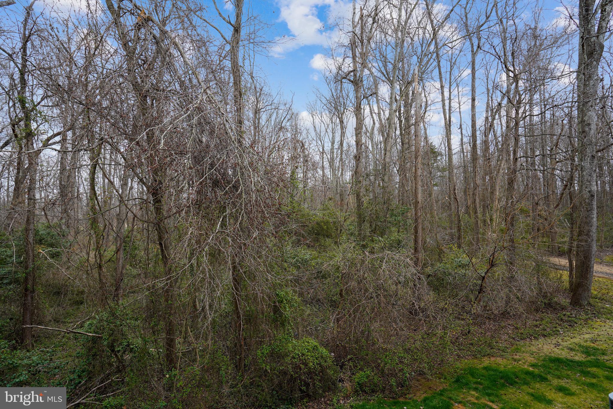 OLDE MILL - Residential