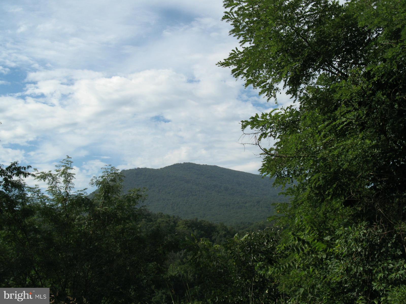 NARROW PASSAGE FARMS - Residential