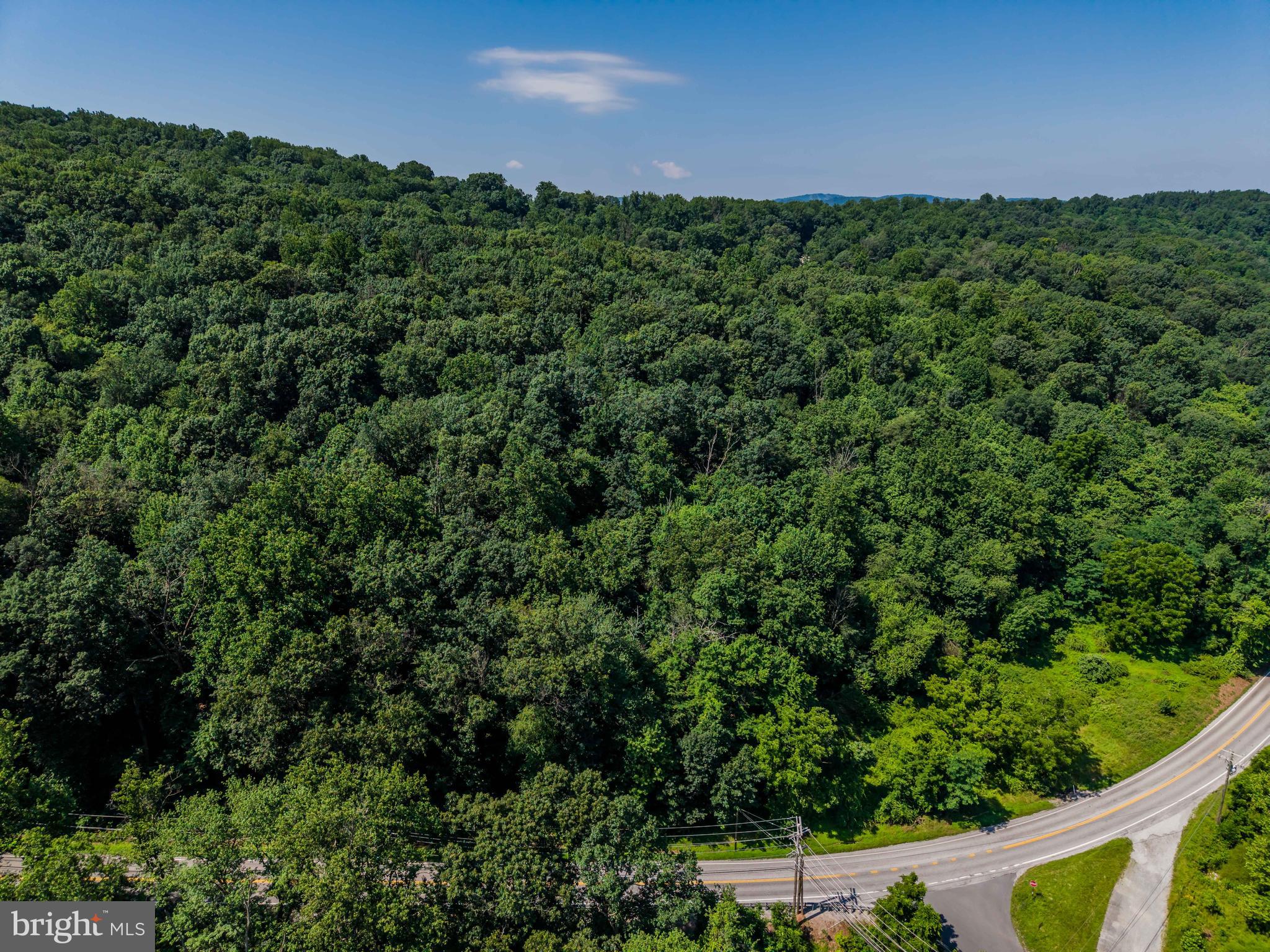 POTTS HILL RD - LOT 1 (D-1)