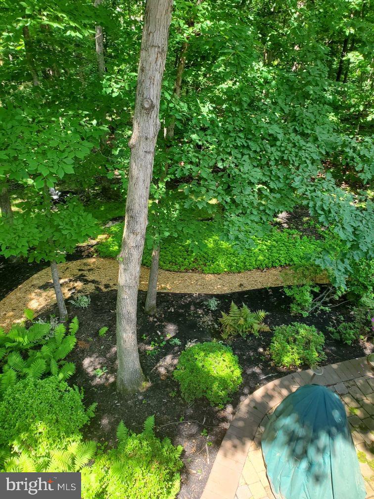 FOREST MANOR - Residential