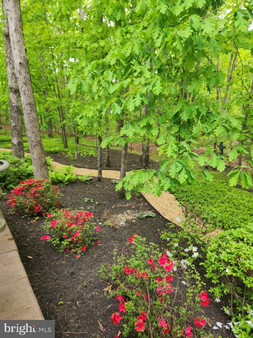 FOREST MANOR - Residential