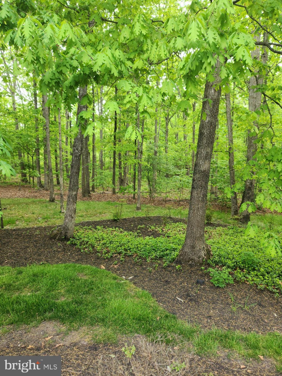 FOREST MANOR - Residential