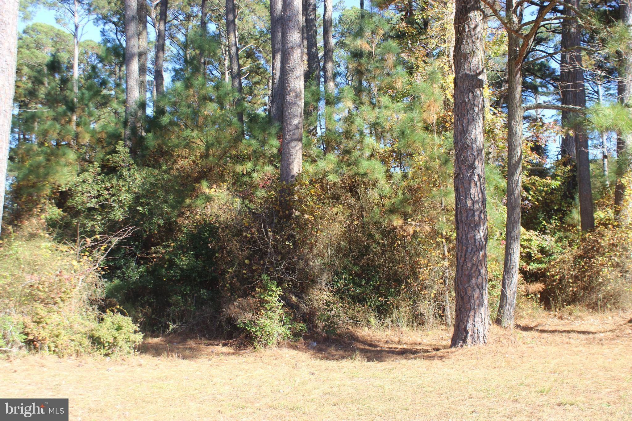 1/1140 Corner, Level, wooded lot (10452 sq ft) with water & sewer availability across from a canal and just minutes away from all the amenities. Buy now and build later, take advantage of this great buy! No time frame to build and No Builder Tie-in. Come and enjoy all the amenities and the lifestyle on the Eastern Shore of VA close to Chincoteague Island, Wallops Island and Ocean City MD. Captains Cove is the fastest growing Golf & Waterfront community on the Eastern Shore of VA. HOA amenities: Pristine 9 Hole Golf Course, indoor/outdoor pools (2), fitness center, tennis, pickle ball & basketball courts, playground, boat ramp, security, biking & walking trails, playground, security and more...Call today for more information.