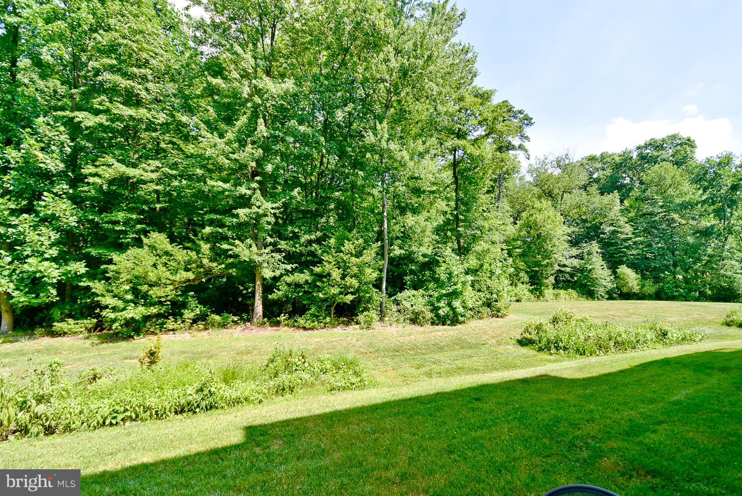 DORCHESTER WOODS - Residential