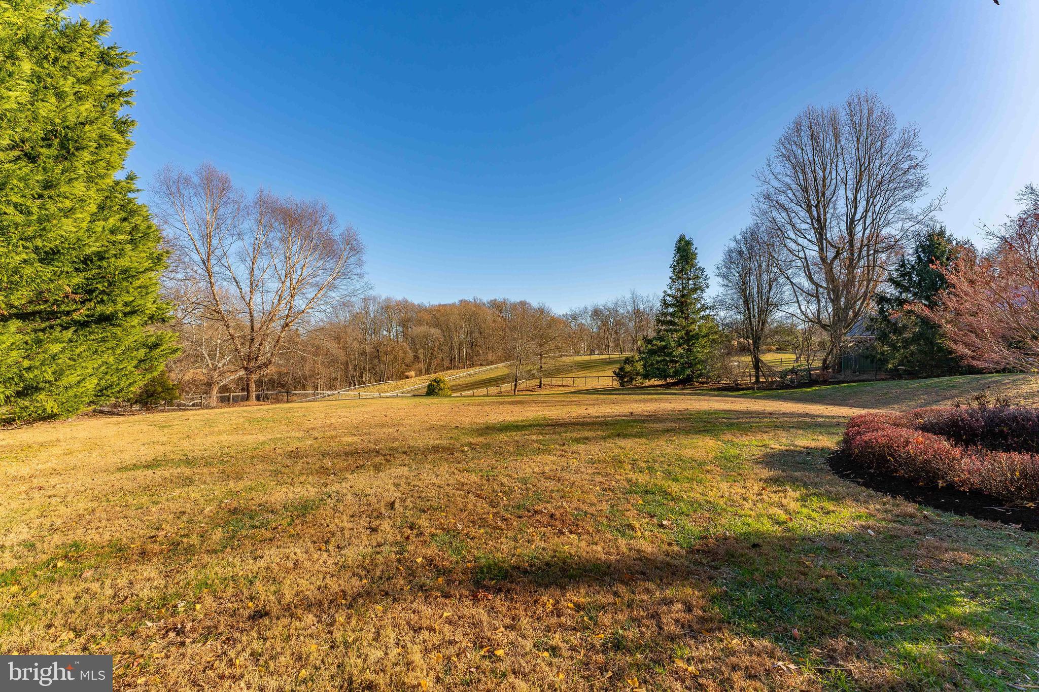 RED LION - Residential