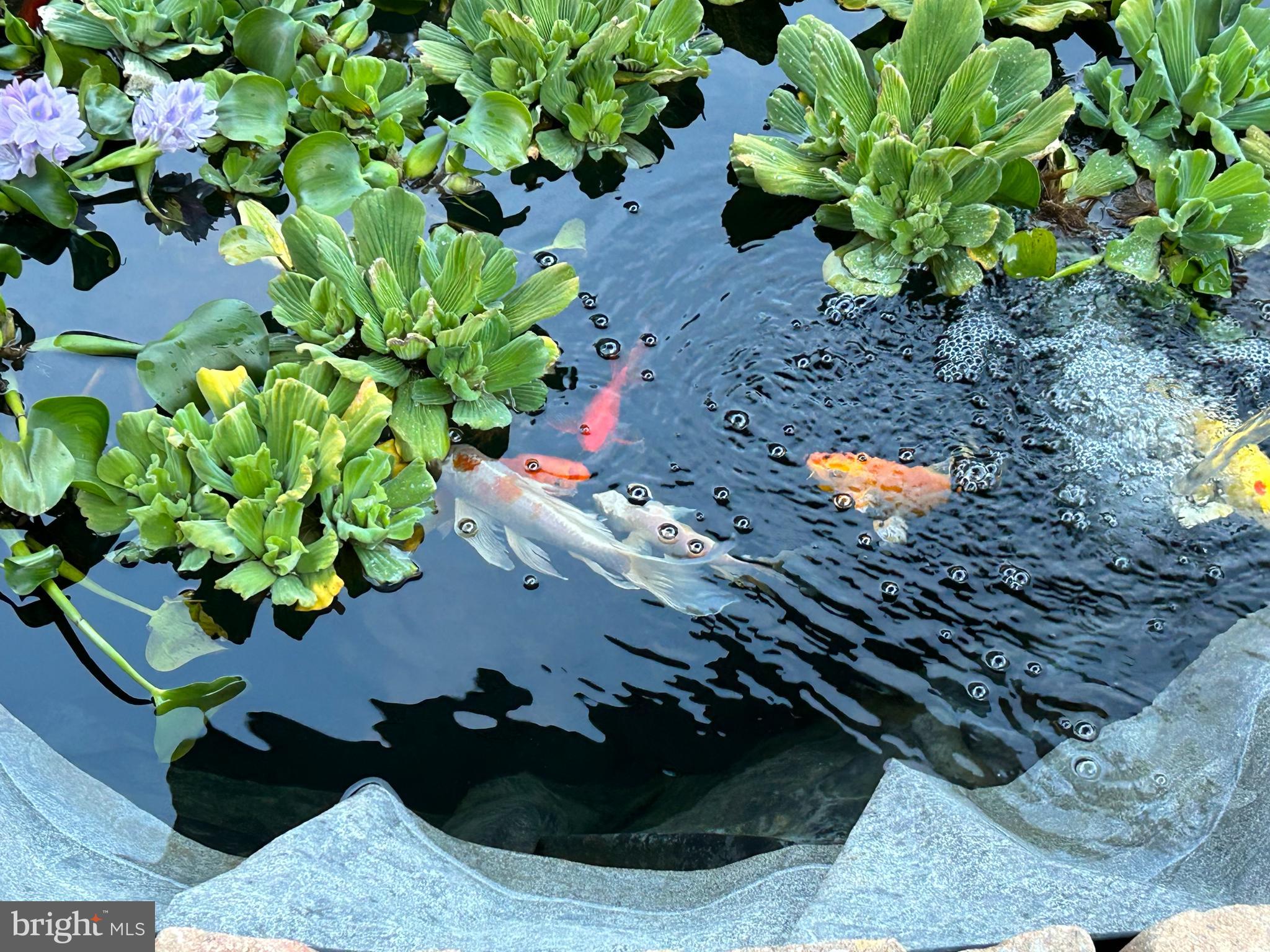 SHEFFIELD - Residential