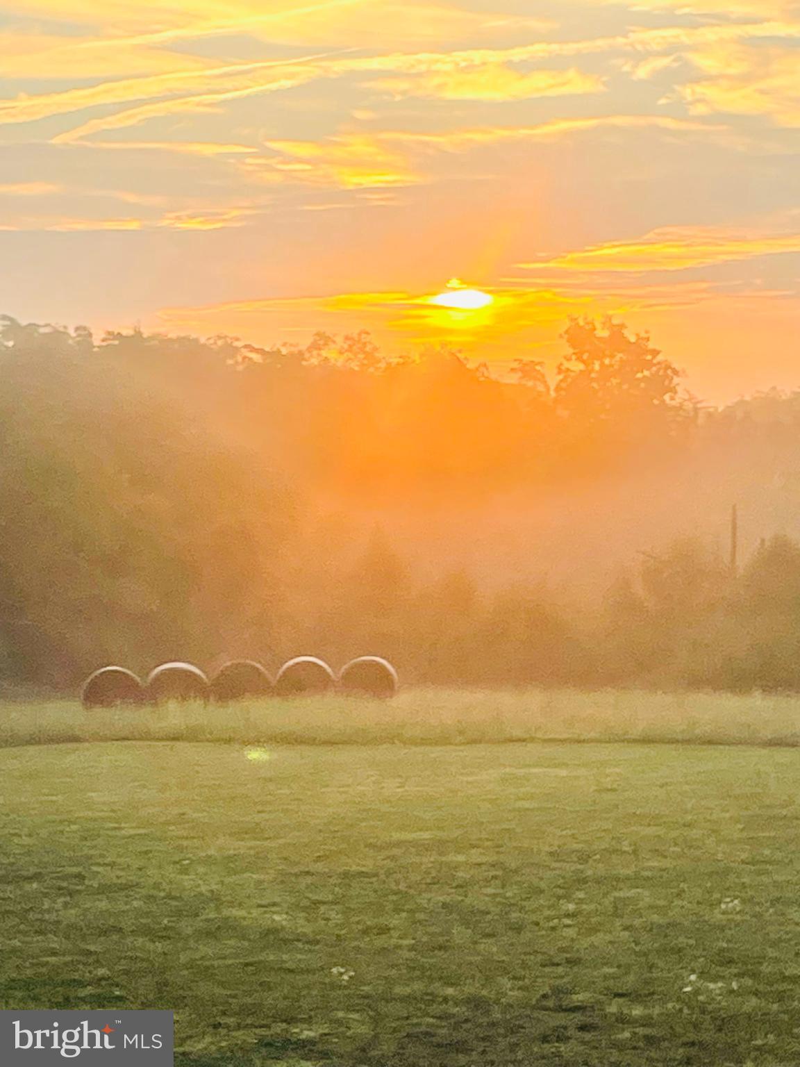 LOCUST LEVEL - Residential