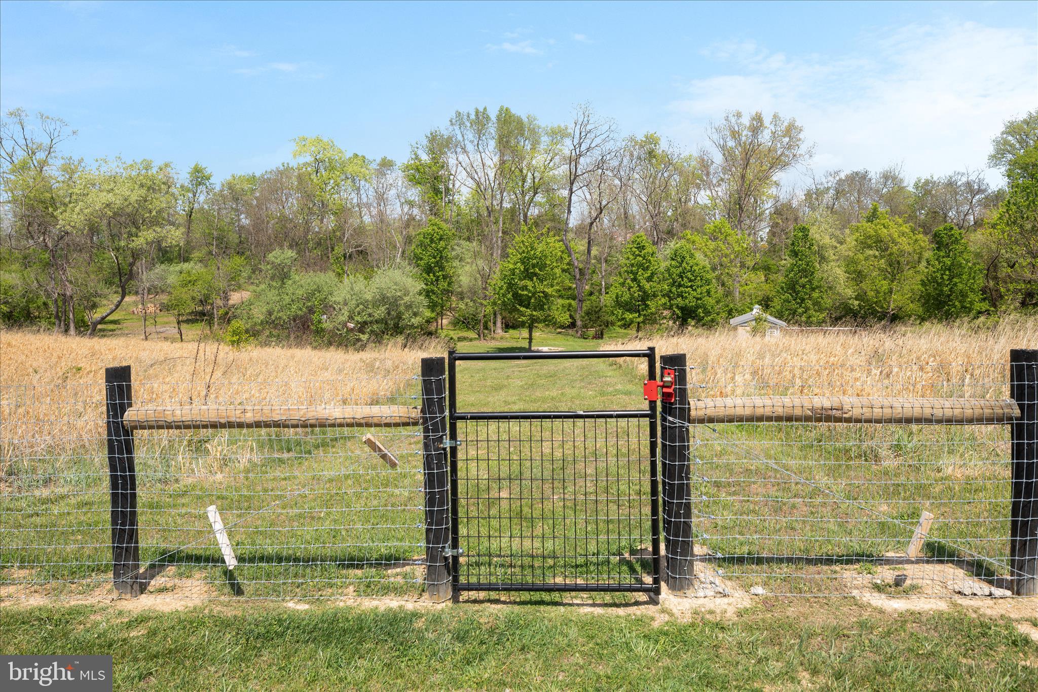 LOCUST LEVEL - Residential
