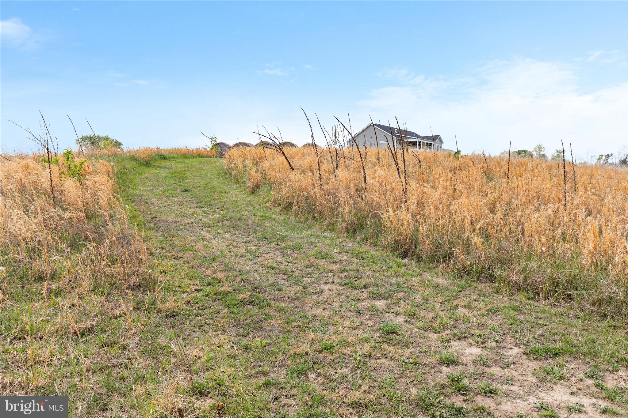 LOCUST LEVEL - Residential