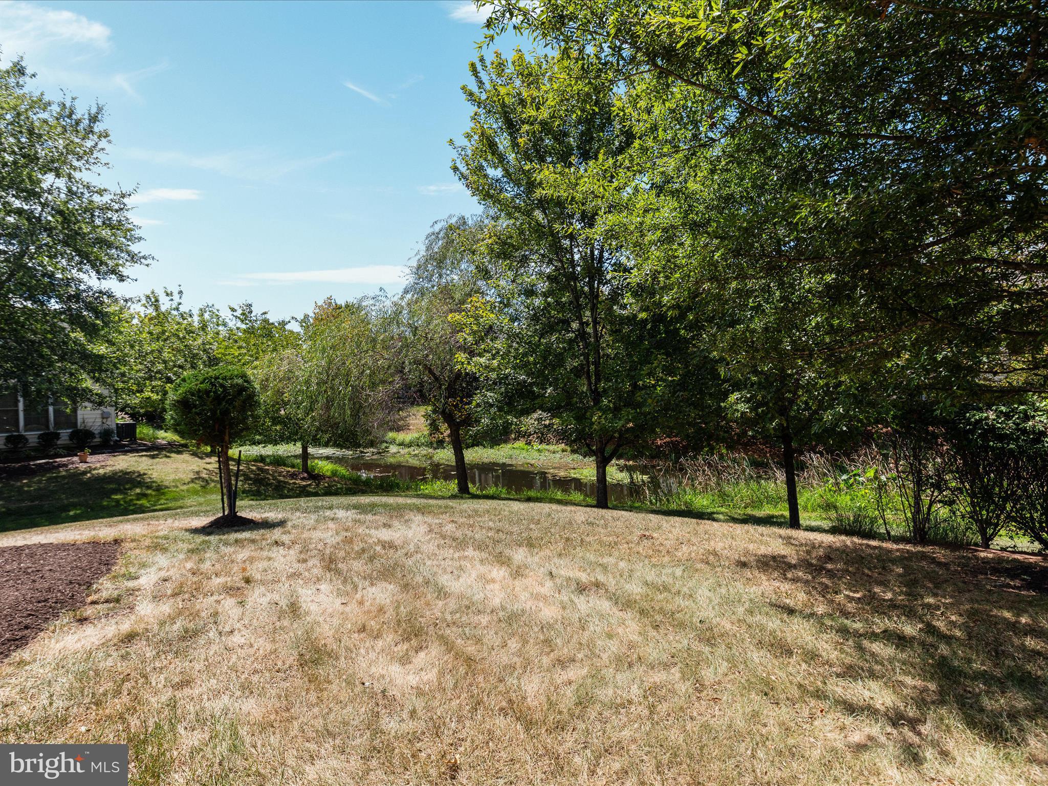 REGENCY AT DOMINION VALLEY - Residential