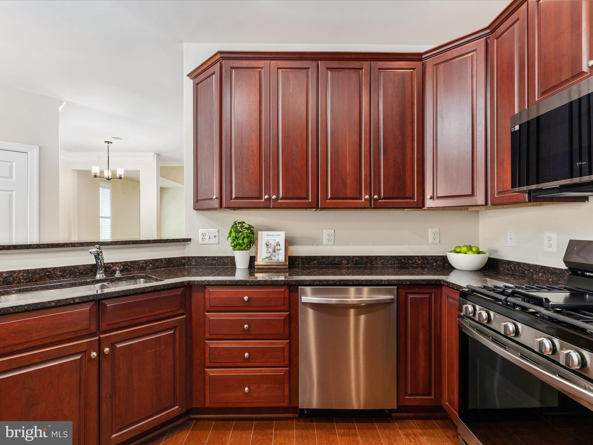 REGENCY AT DOMINION VALLEY - Residential