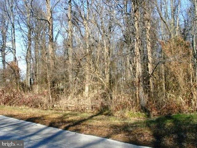 MILLERS ISLAND - Land