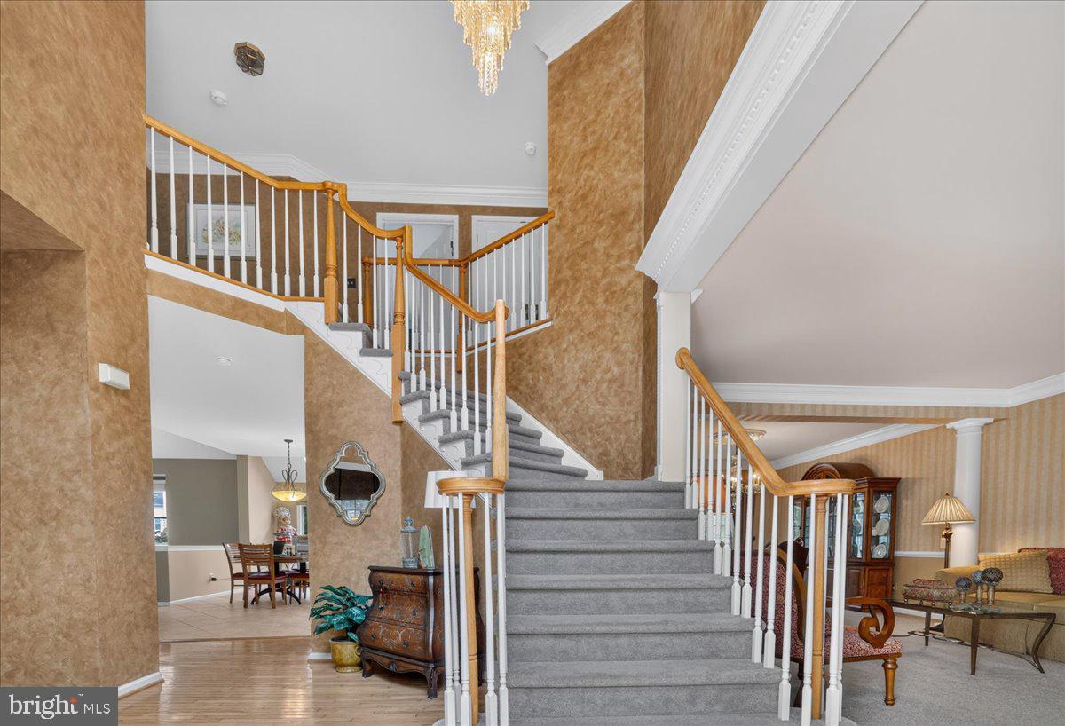 6 DOVER PLACE