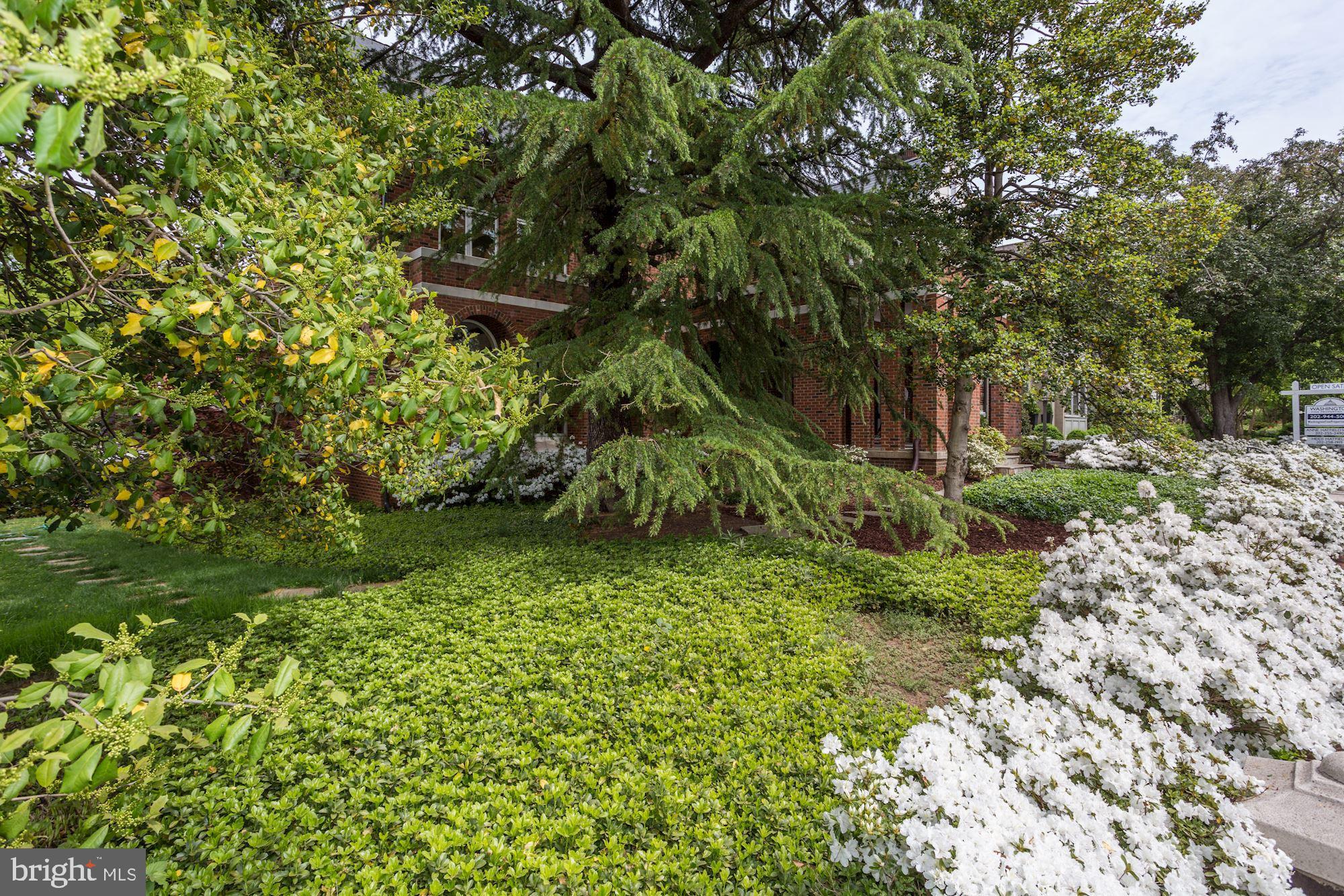 CATHEDRAL HEIGHTS - Residential