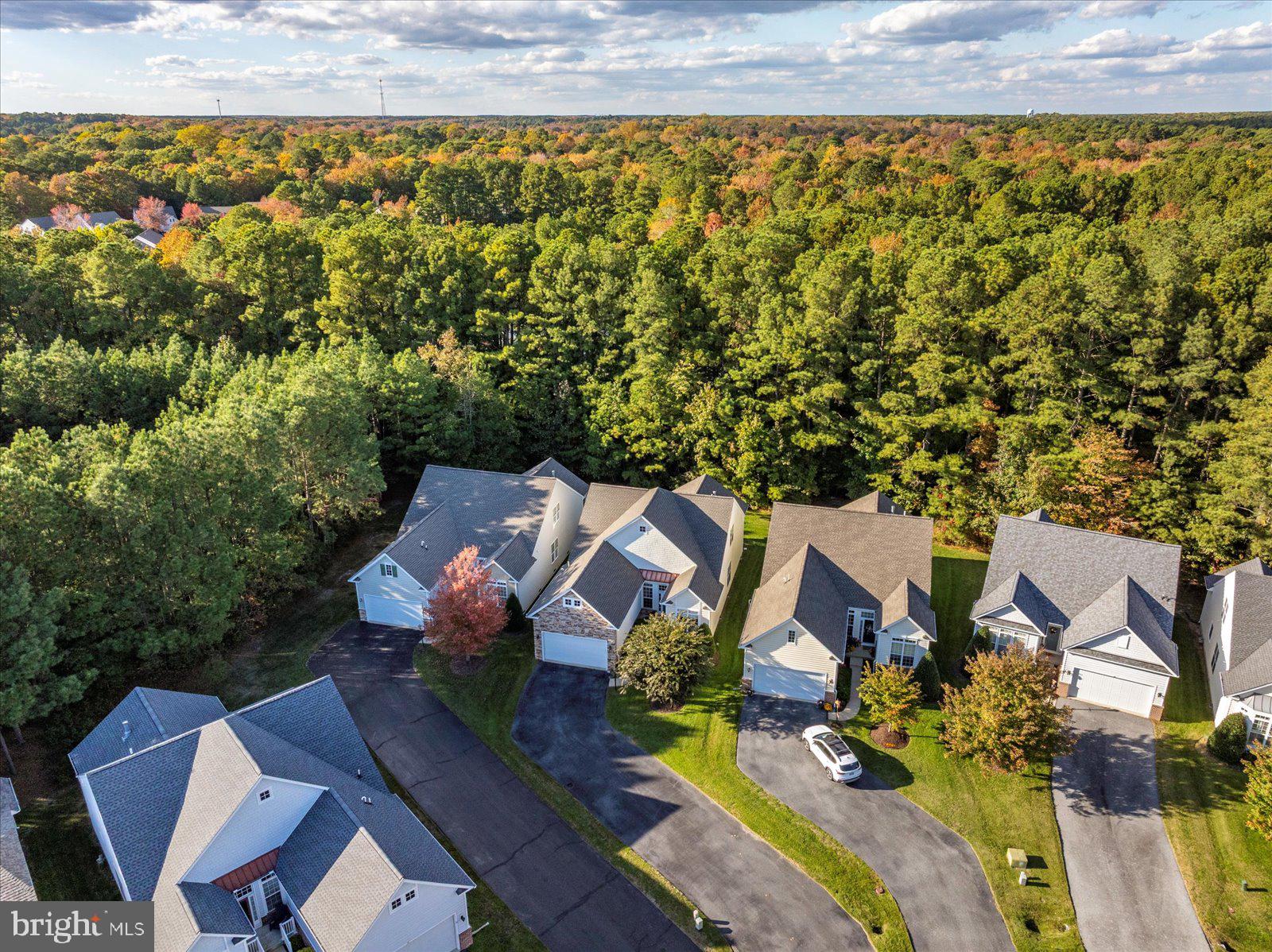 OCEAN PINES - THE PARKE - Residential