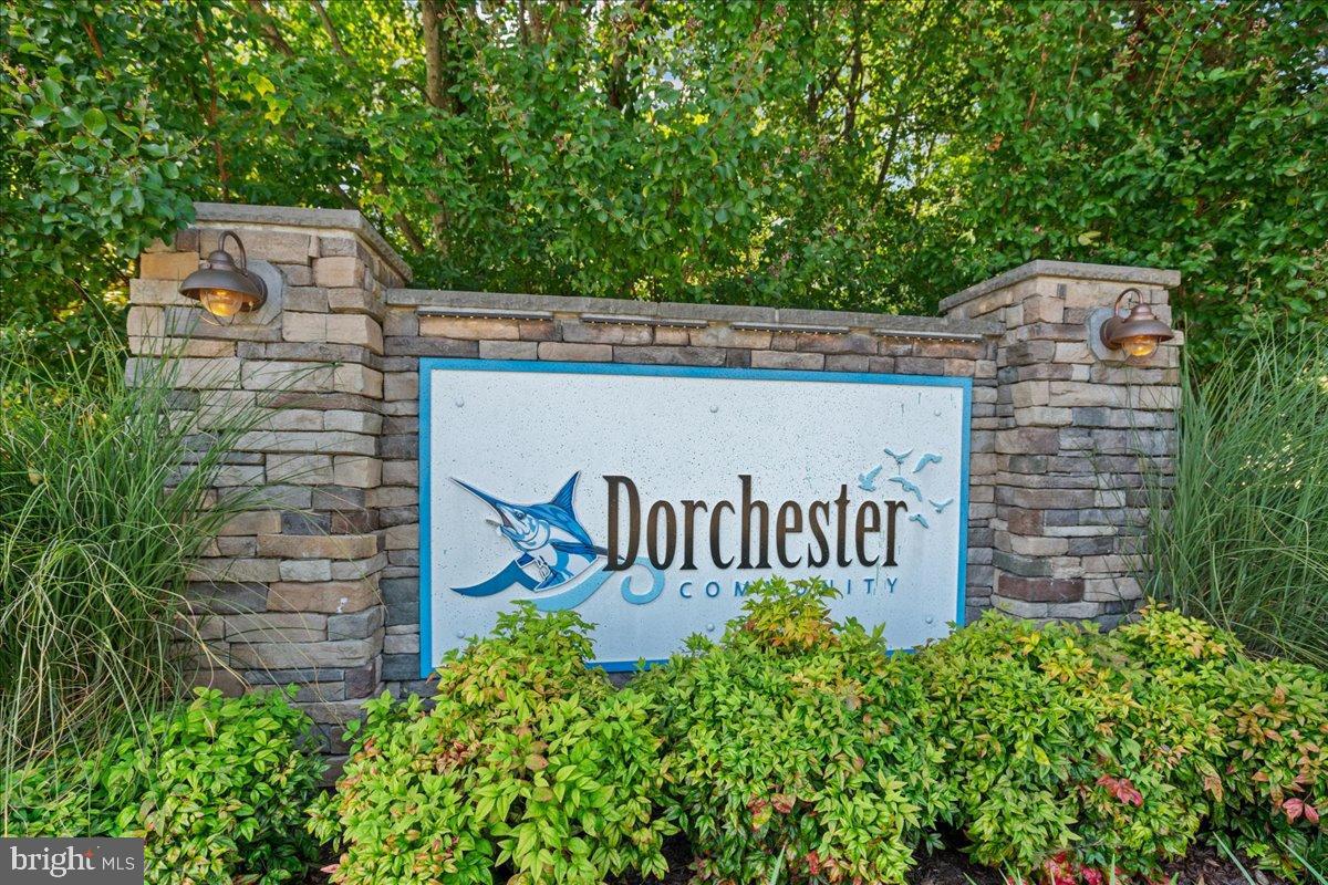 DORCHESTER - ST. CHARLES - Residential