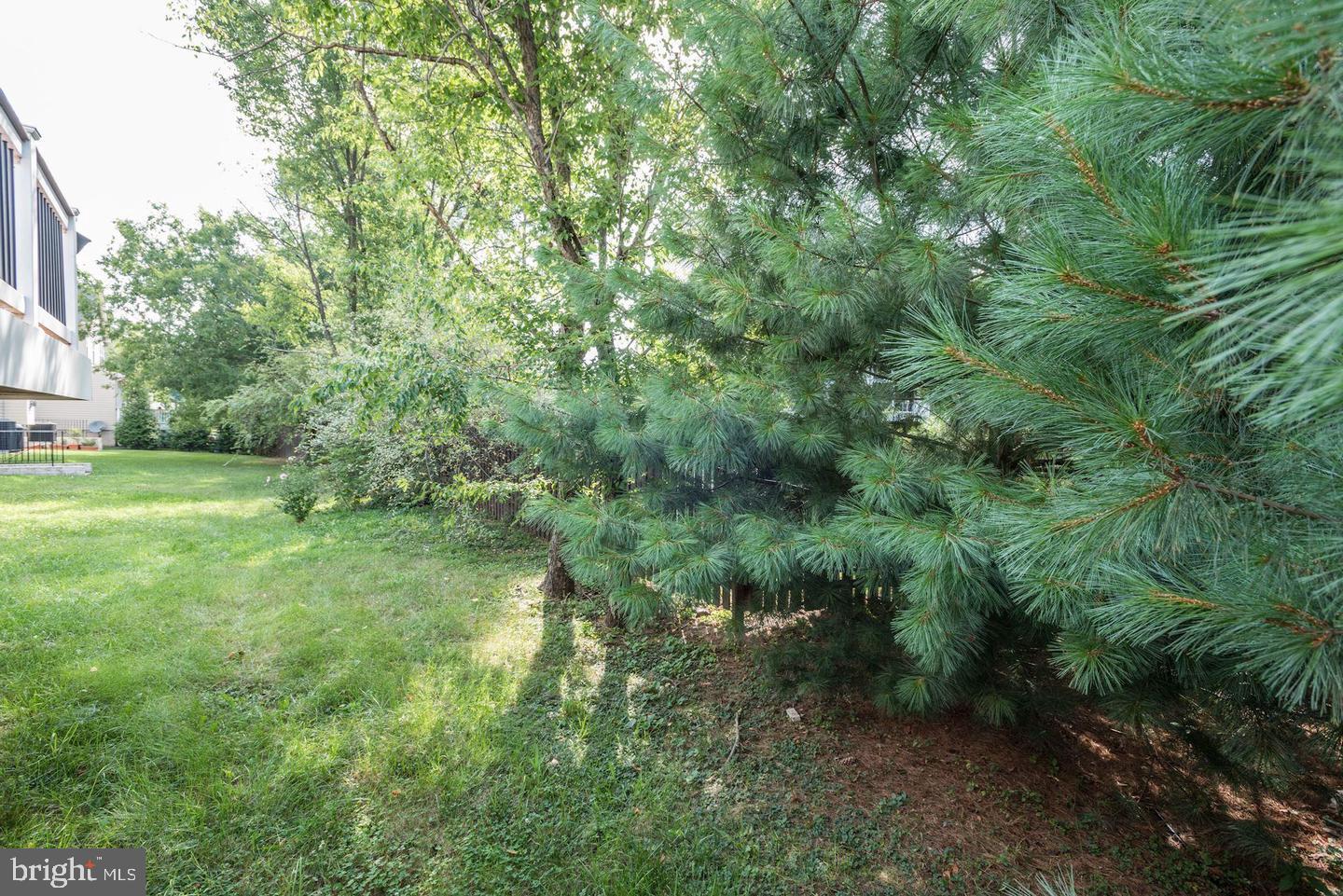 CENTREVILLE GREEN - Residential Lease