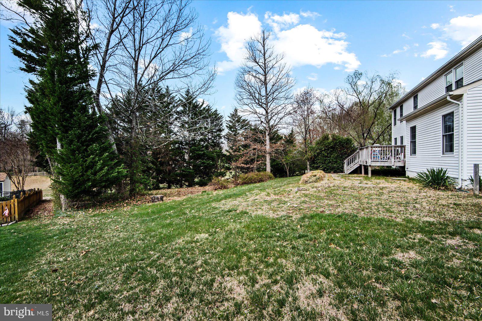 CARDINAL FOREST - Residential