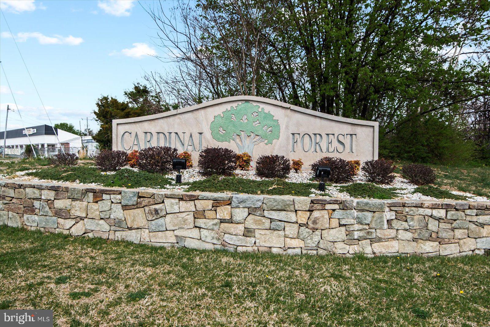 CARDINAL FOREST - Residential