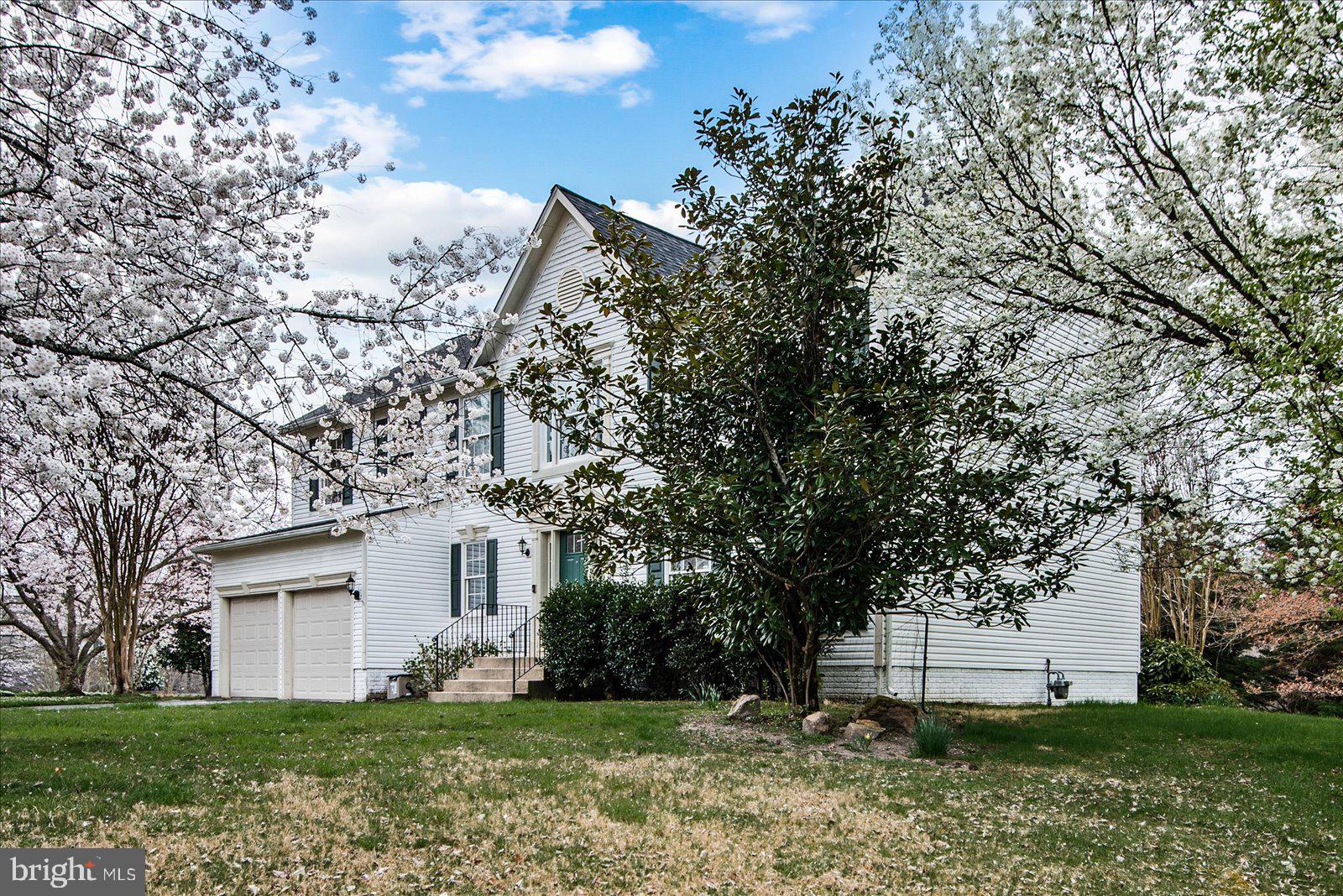 CARDINAL FOREST - Residential