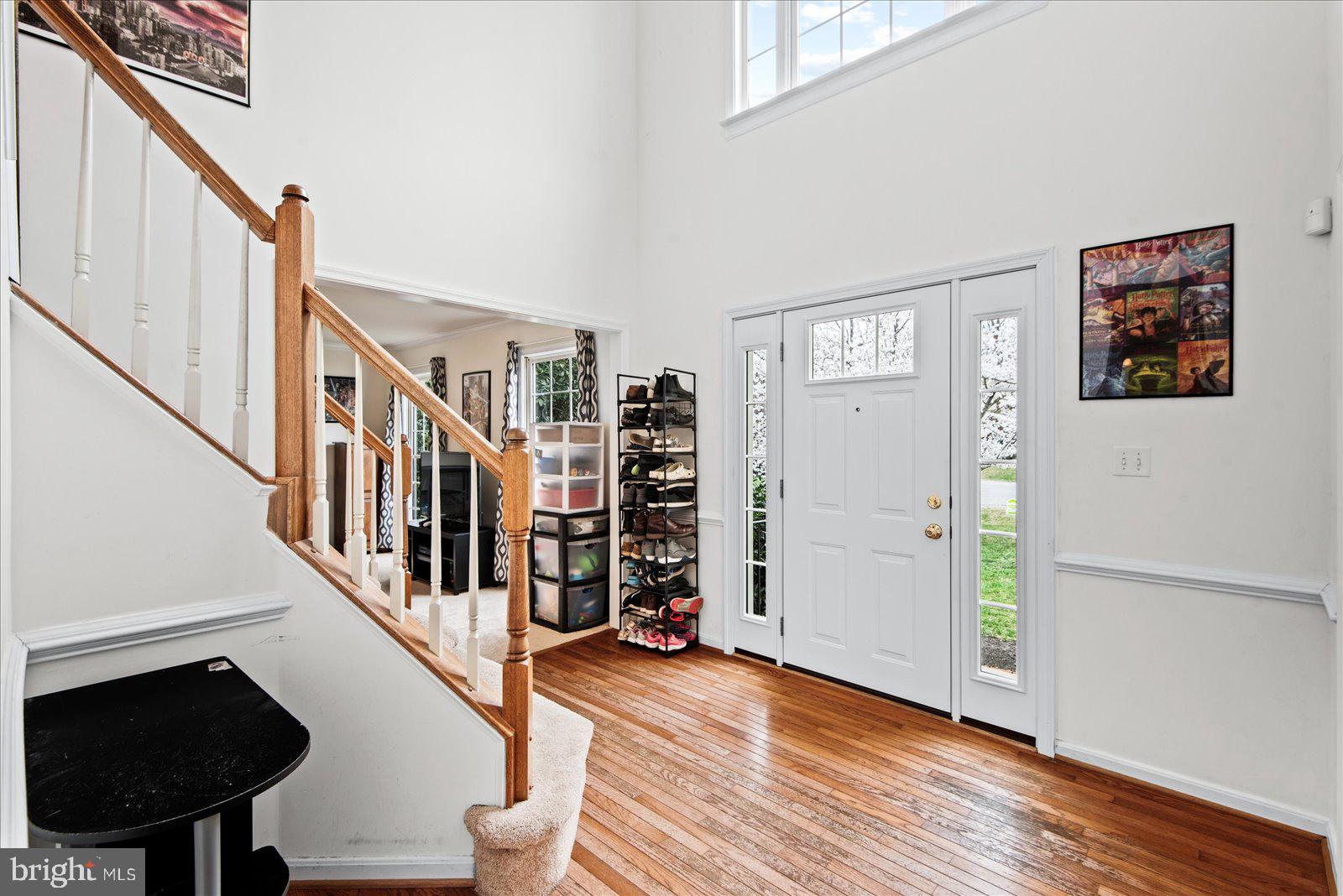 CARDINAL FOREST - Residential