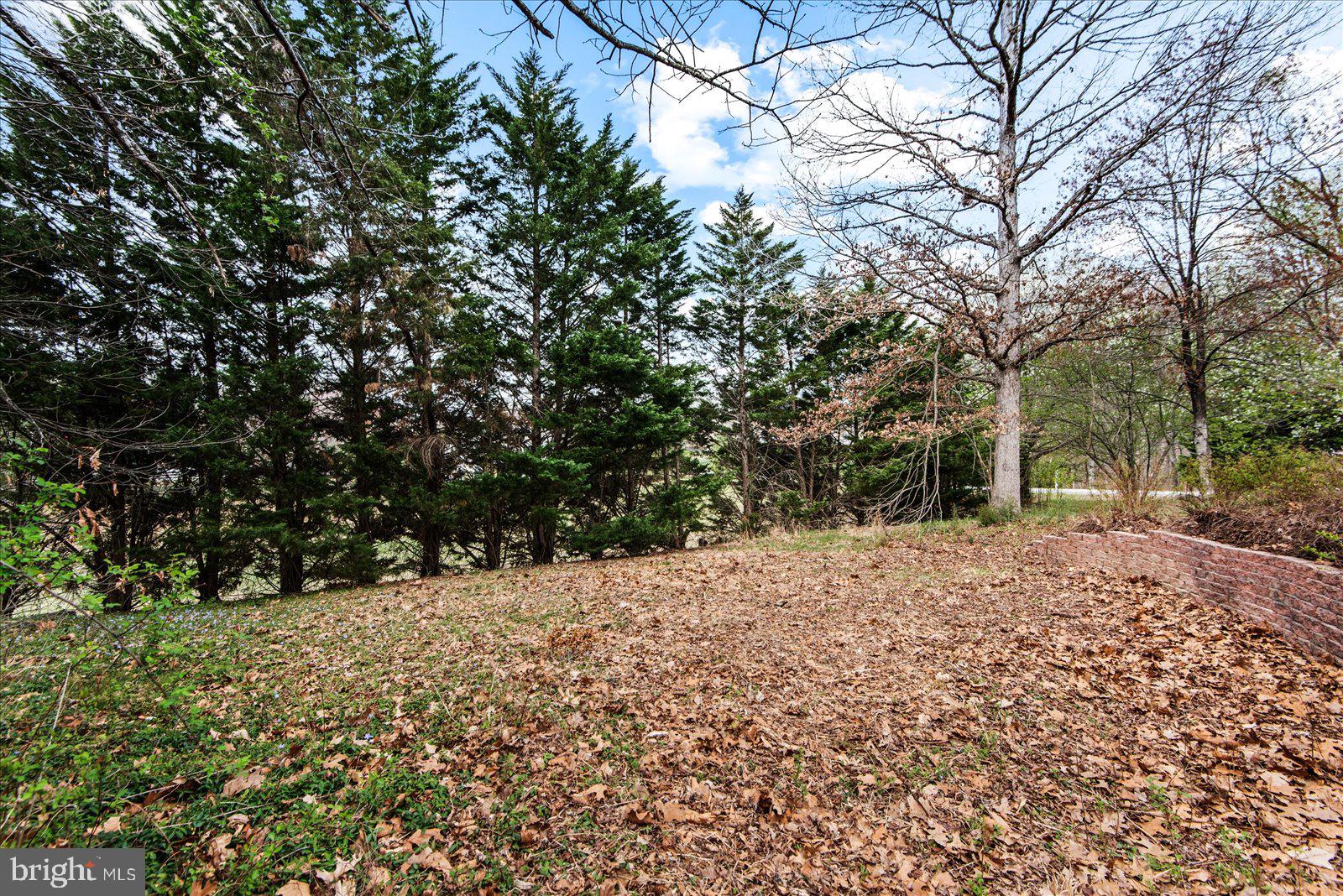 CARDINAL FOREST - Residential