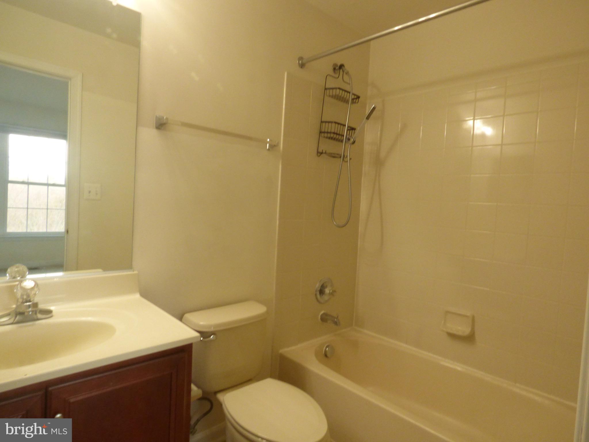 AMBERLEA AT SOUTH RIDING - Residential Lease