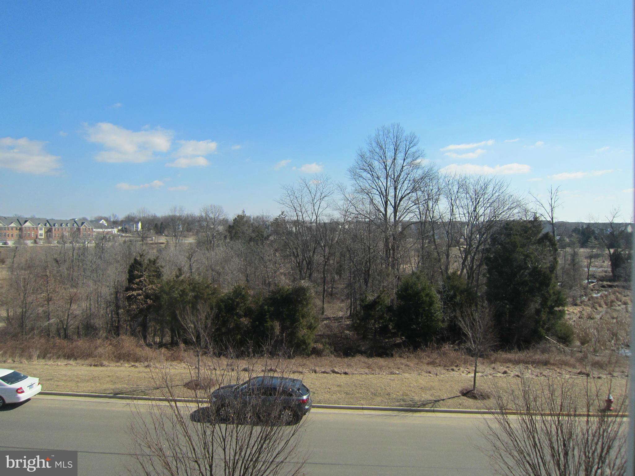 AMBERLEA AT SOUTH RIDING - Residential Lease