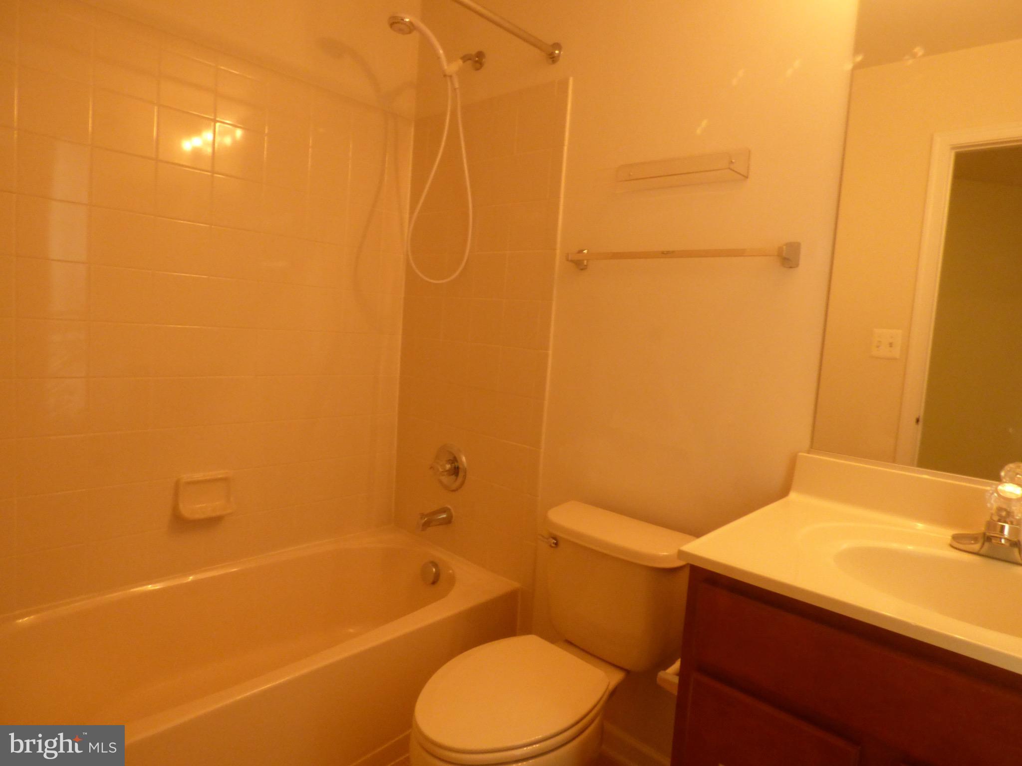 AMBERLEA AT SOUTH RIDING - Residential Lease