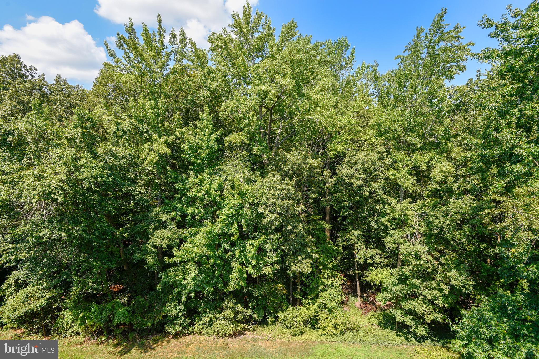 SUMMER PLACE AT RIVA TRACE - Residential