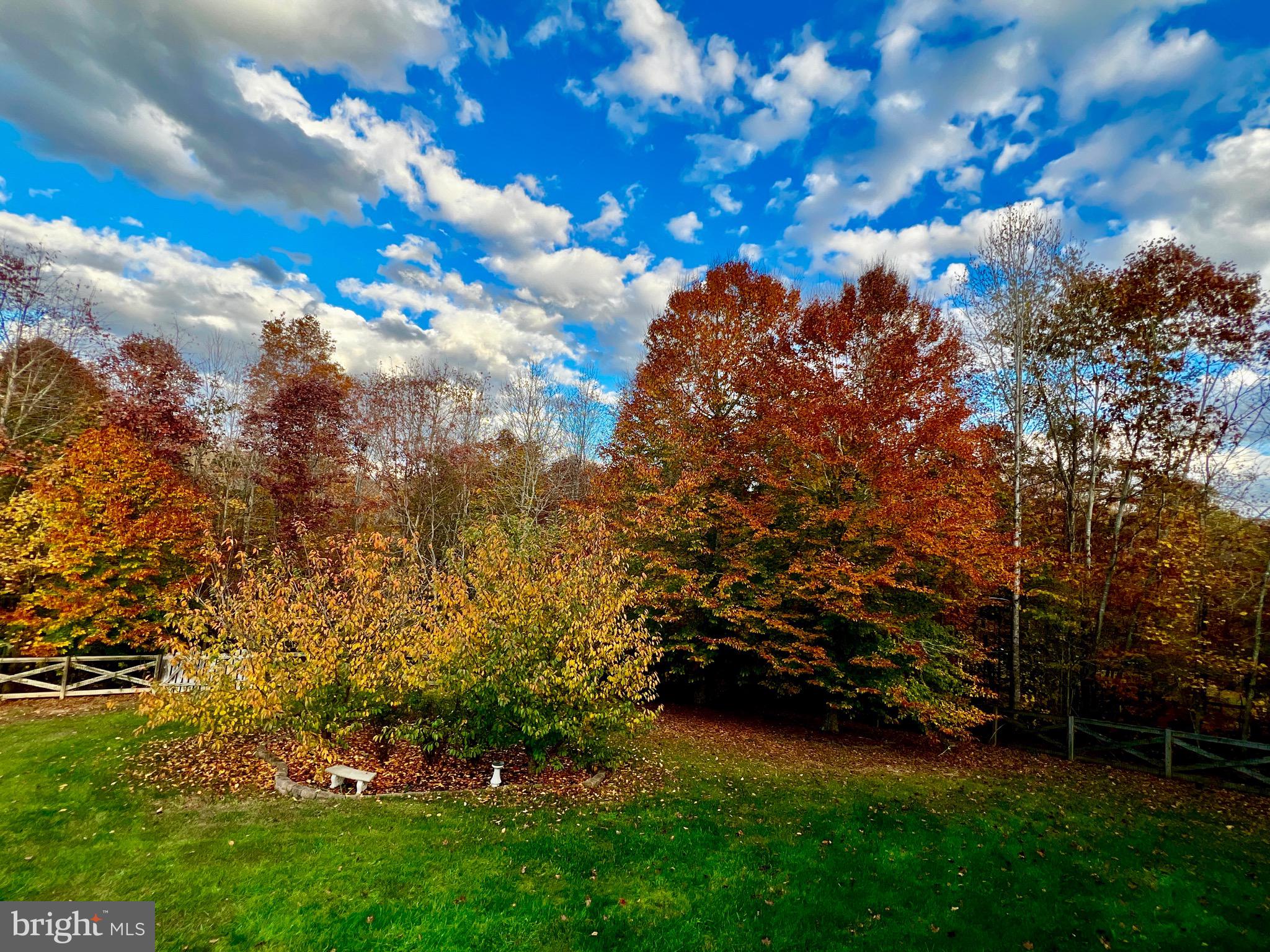 RICHLAND FOREST - Residential