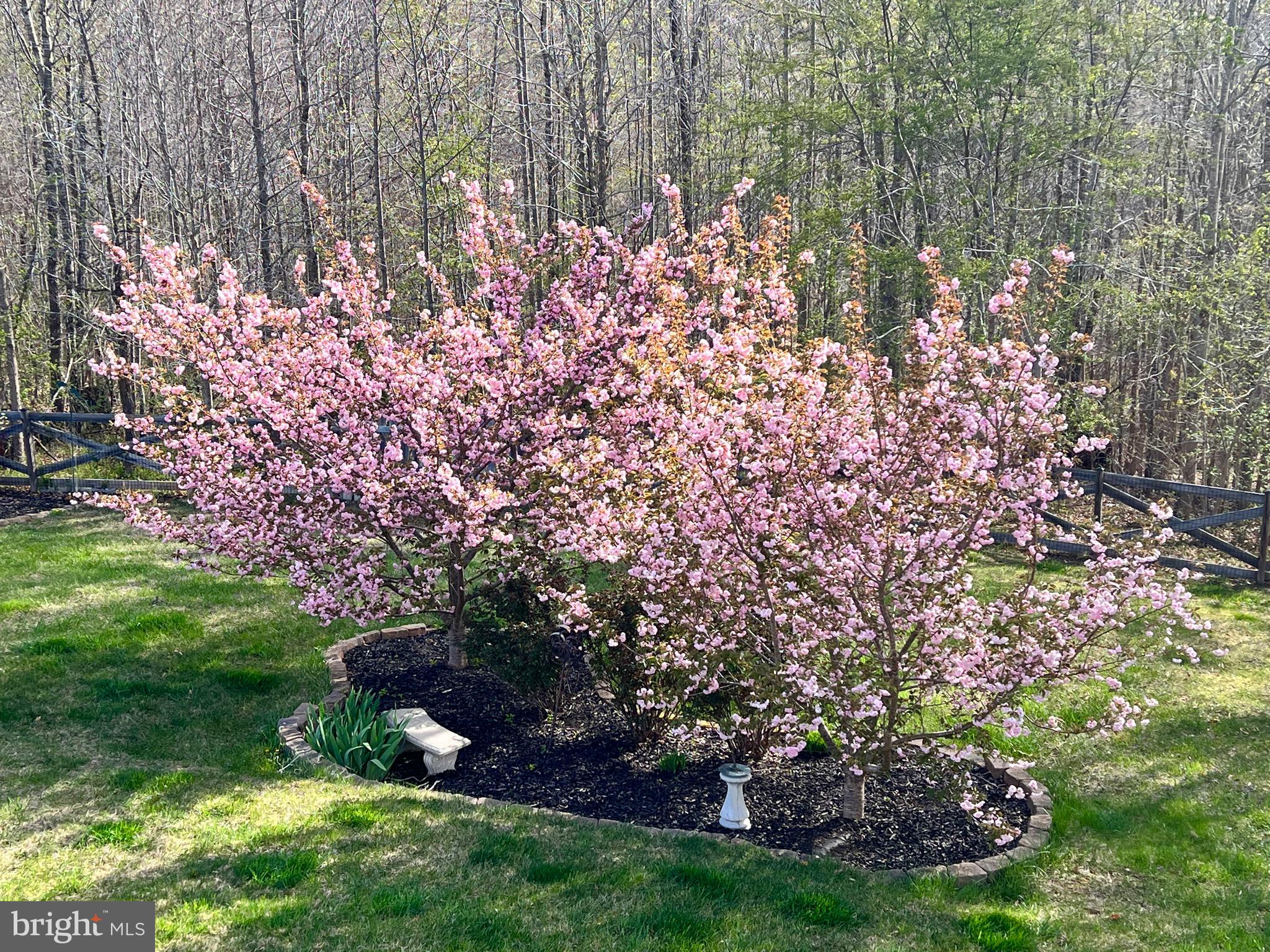 RICHLAND FOREST - Residential