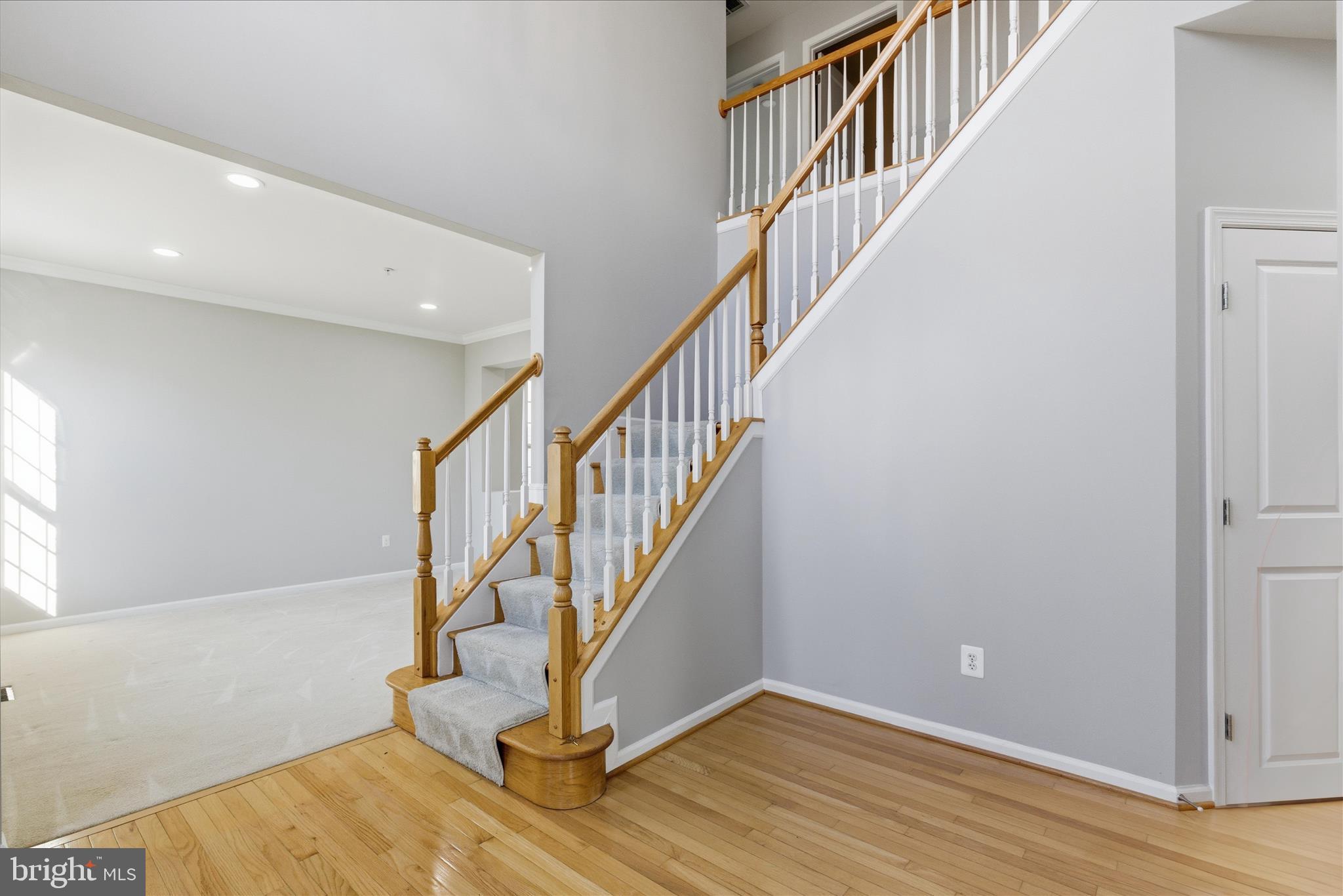 7200 WHITE BUD COURT