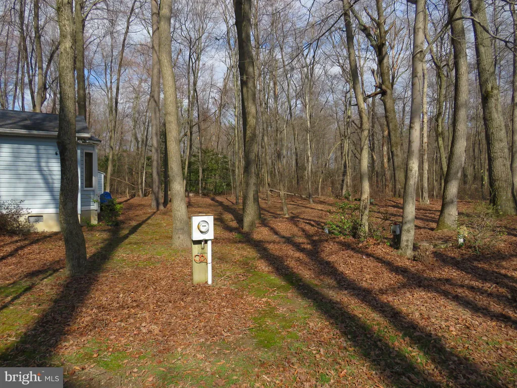 1126 Myers Drive, Hartly, DE 19953