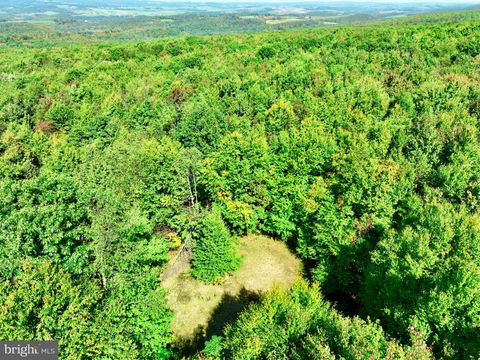 LOT 12 WINDSWEPT LANE GRANTSVILLE MD 21536