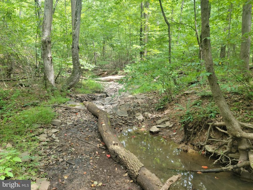 *****Multiple offers have been received, please submit your client's highest and best offer by 7pm Eastern Time on Wednesday, September 6, 2023***** Welcome to your very own adult amusement park! Escape reality into the tranquil beauty of this 20+ acre tract of unrestricted paradise. Whether you come to play, or come to live and play, this property has all you want! Used recreationally by the current owners, there is a cabin shell on the property and a new owner could complete this dream. It would make a fantastic hunting camp or weekend retreat from the daily stresses of the rat race in the concrete jungle. ATV trails run throughout much of the property. Whatever you may plan to do with it, don't miss your opportunity to come explore this slice of Almost Heaven! IF YOU LIKE WHAT YOU SEE, CALL          !!!!!!!!