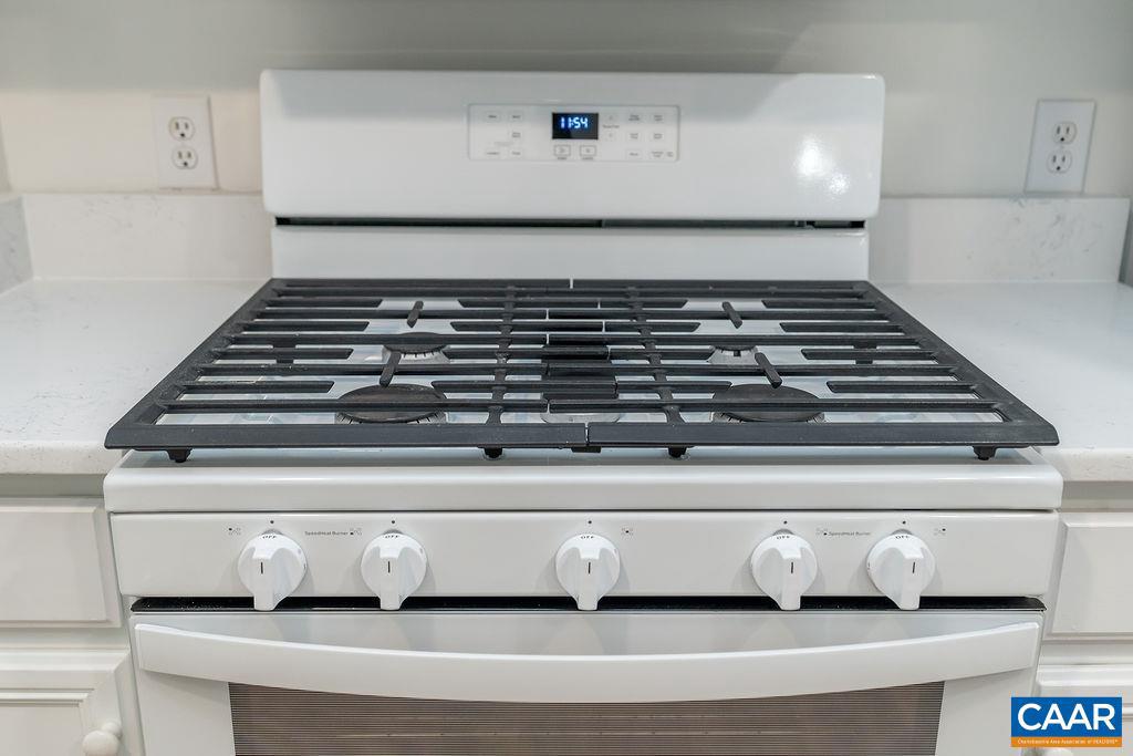 LAKE REYNOVIA - Residential